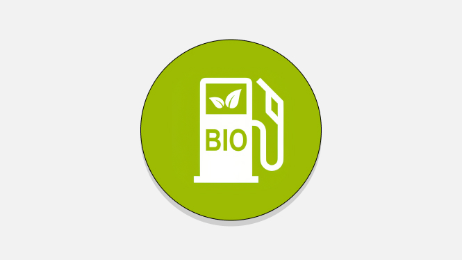 bio